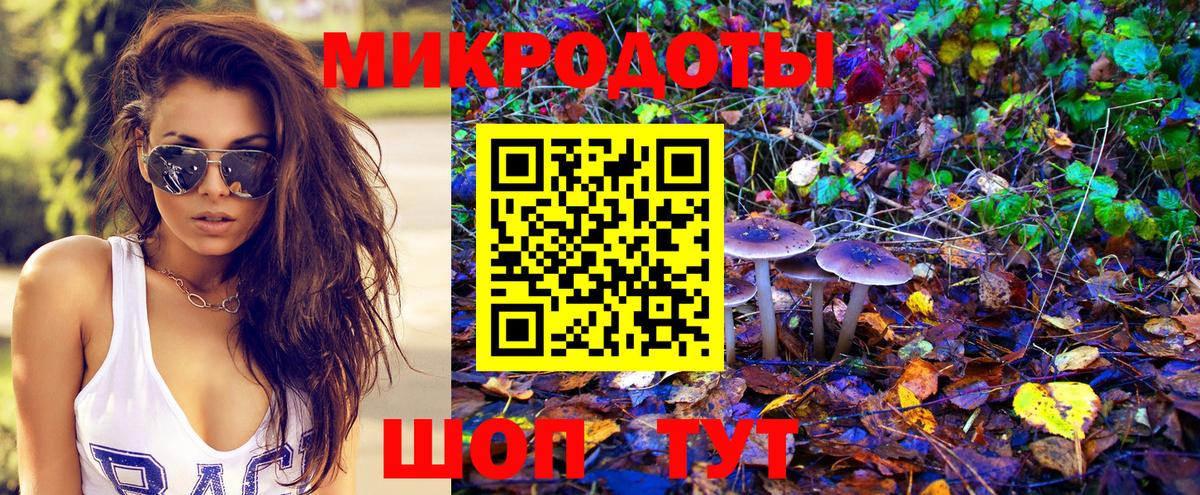 Галлюциногенные грибы Psilocybine cubensis  Вход с VPN  Ялта 